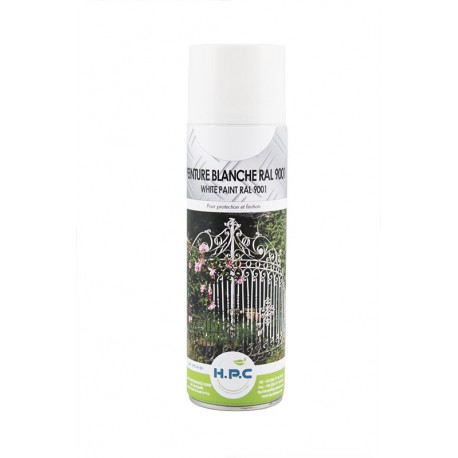 PEINTURE BLANCHE RAL 9001